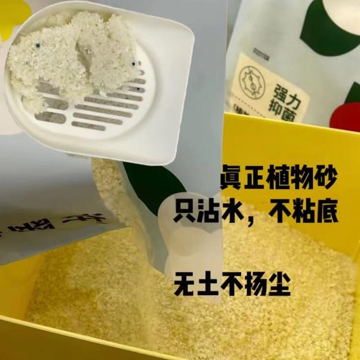 高爷家许翠花猫砂2.5kg 商品图1