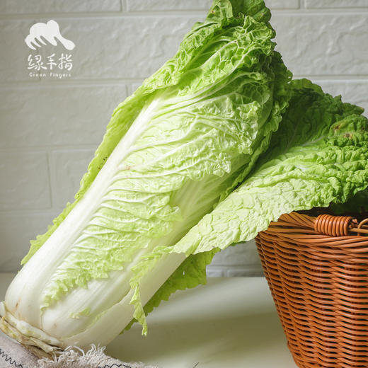 生态大白菜（竹筒青，包邮）| 绿家自产* Eco-baby Chinese cabbage group-buy | Self-production 商品图2