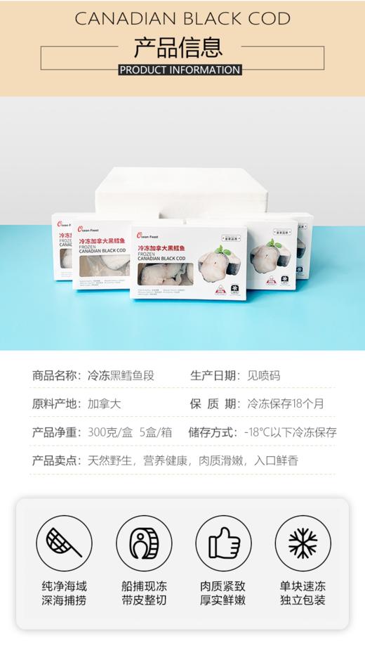 加拿大黑鳕鱼 300g/盒 一份5盒 商品图3