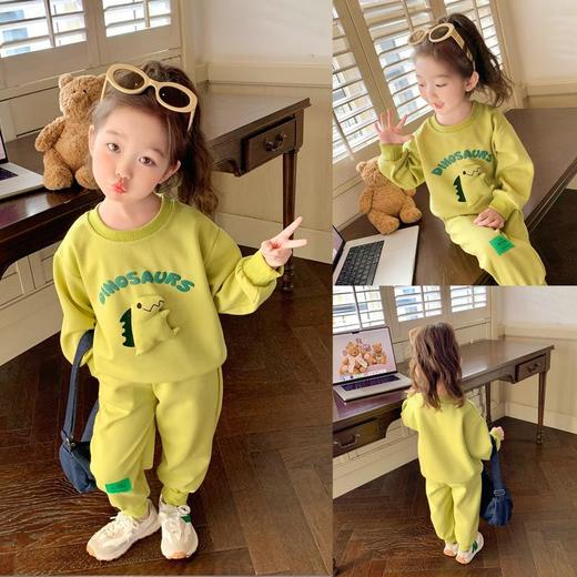 男女童同款恐龙套装2024春季新款韩版两件套洋气休闲童装 商品图3
