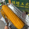 绿塔甜糯香玉米 商品缩略图2