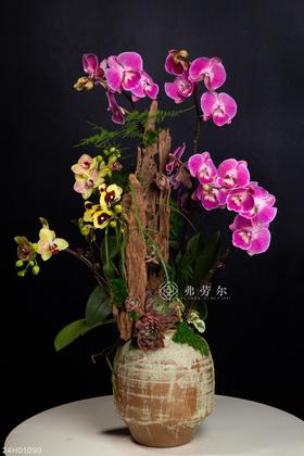 24H01099