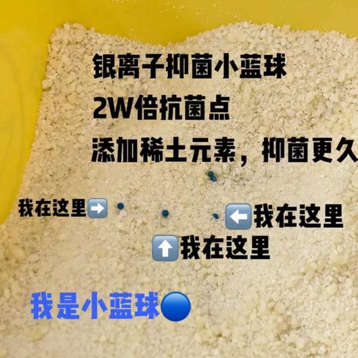 高爷家许翠花猫砂2.5kg 商品图2