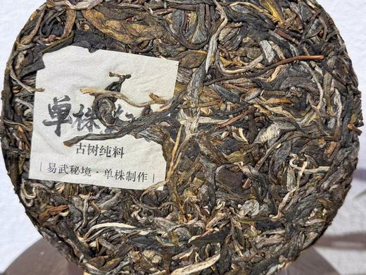 2023春 [单株惊鸿 ]   易武秘境  单株采摘  单株制作 200克 商品图2