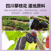 【杞里香黑桑葚干无沙桑椹子300g/罐】泡茶泡酒非免洗即食桑葚旗舰店
自然生长 口感软甜 干净无沙 商品缩略图3