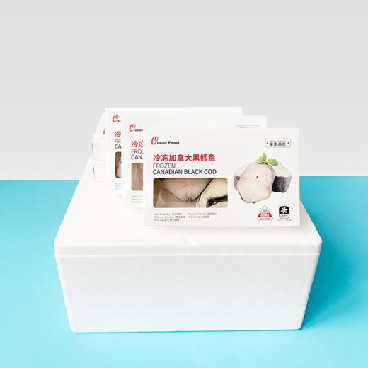 加拿大黑鳕鱼 300g/盒 一份5盒 商品图1