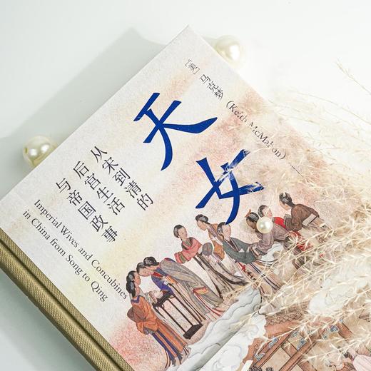 天女临凡：从宋到清的后宫生活与帝国政事 商品图2