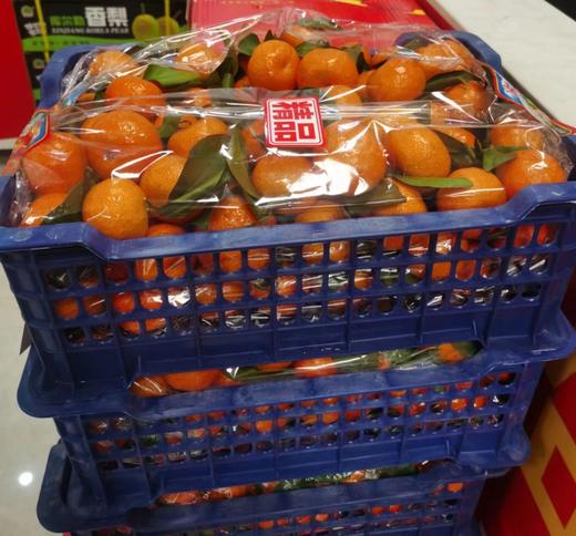 新鲜水果砂糖橘筐装14斤左右 商品图3