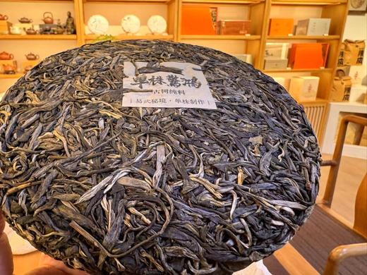 2023春 发烧友 单株惊鸿PLUS版 357克 更胜一筹 生普洱 商品图2