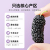 【杞里香黑桑葚干无沙桑椹子300g/罐】泡茶泡酒非免洗即食桑葚旗舰店
自然生长 口感软甜 干净无沙 商品缩略图1