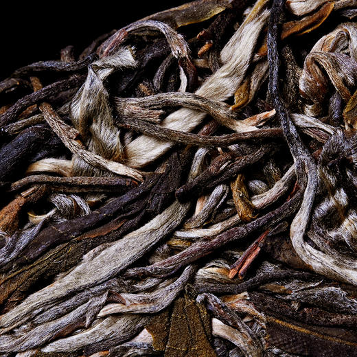 新品发售【古法茶坪地】2019年头春头采古茶易武普洱茶生茶300g/罐装拍5发6拍20发25 商品图3