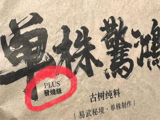 2023春 发烧友 单株惊鸿PLUS版 357克 更胜一筹 生普洱 商品图1