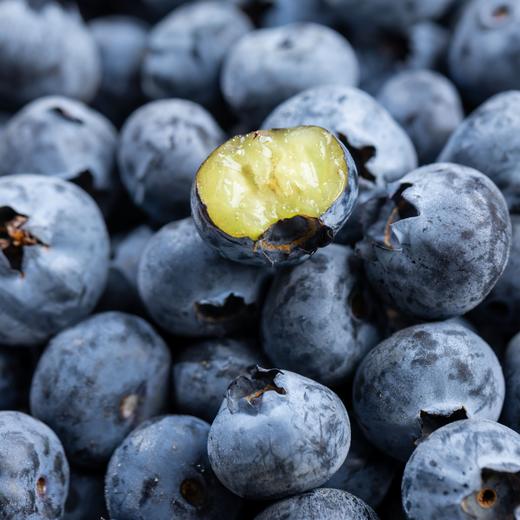 雪山蓝莓 商品图0