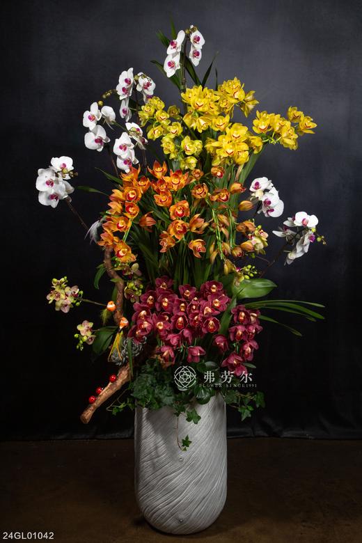 24GL01042 商品图0