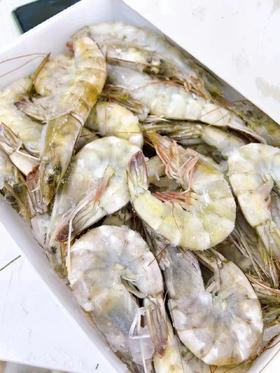 桑塔虾一大箱（6盒）