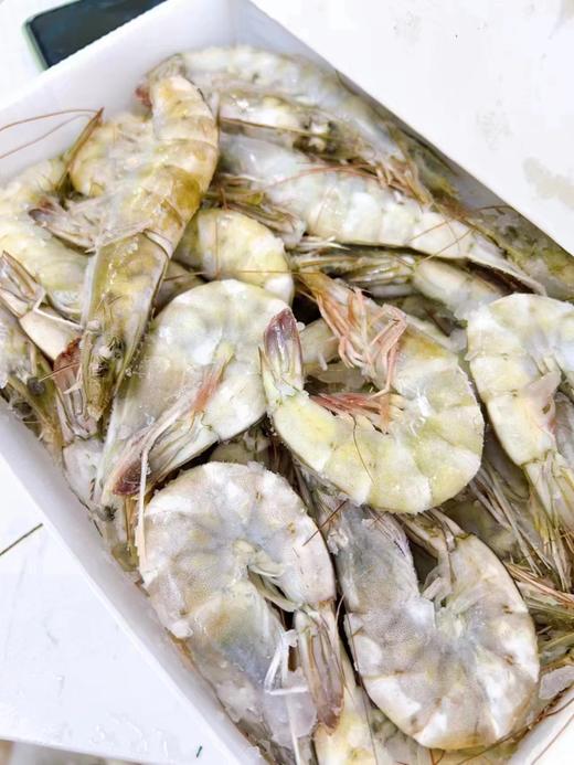 桑塔虾一大箱（6盒） 商品图0