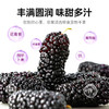 【杞里香黑桑葚干无沙桑椹子300g/罐】泡茶泡酒非免洗即食桑葚旗舰店
自然生长 口感软甜 干净无沙 商品缩略图5