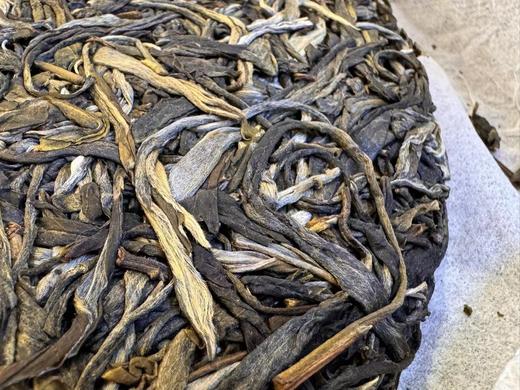 2023春 发烧友 单株惊鸿PLUS版 357克 更胜一筹 生普洱 商品图10