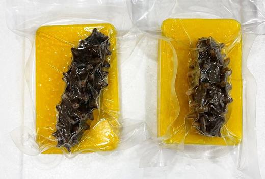 自营（海中源）-《新品上市》金米海参 送礼盒包装 顺丰发货 每块约230g 商品图2