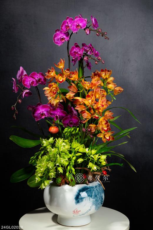 24GL02038 商品图0