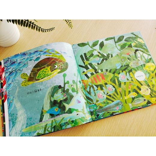 砰!大海怪来了 商品图2