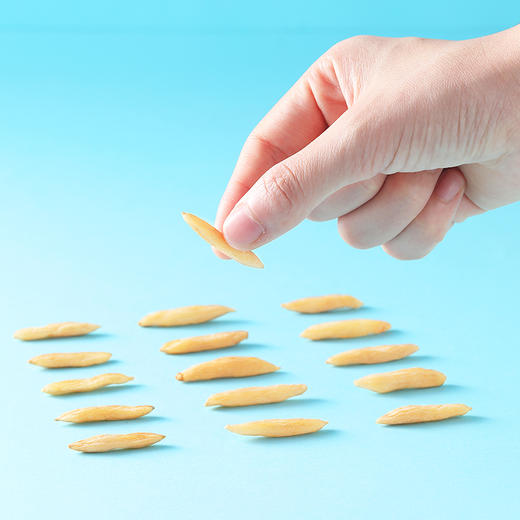 纯耕100g袋装麦冬、250g袋装麦冬精选湖北原色麦冬，4-5月份当季鲜货颗粒饱满，颗颗有芯不易断质地脆硬，柔软有韧劲 商品图9