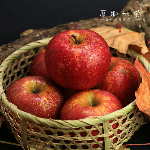 有机阿珍红富士苹果/瑞雪苹果（基地直发-顺丰包邮）| 多种规格， 来自陕西千阳，生产者：张家祯【合作生产，公平贸易】 商品图4