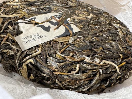 2023春 天门山高古（高杆橡筋+天门山古树） 200克 生普 商品图8