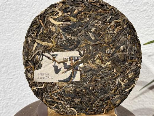 2023春 天门山高古（高杆橡筋+天门山古树） 200克 生普 商品图5