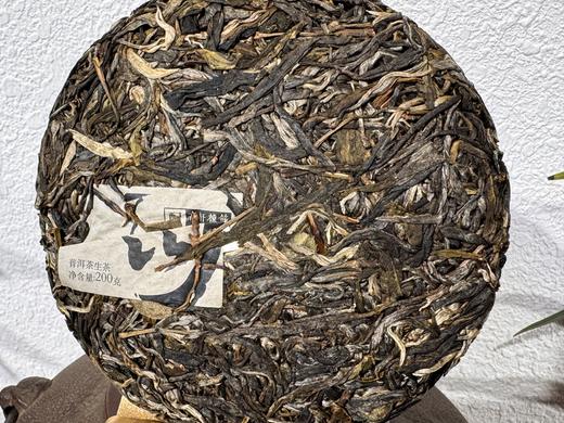 2023春 天门山高古（高杆橡筋+天门山古树） 200克 生普 商品图9