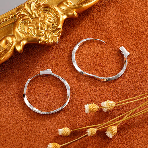 子佩集925银【天穹】耳圈【Y9419101】扣环耳圈2402 商品图1