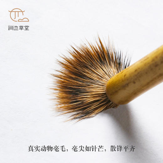 涧边草堂精制兔狼毫小楷湖笔【出尘】 商品图3