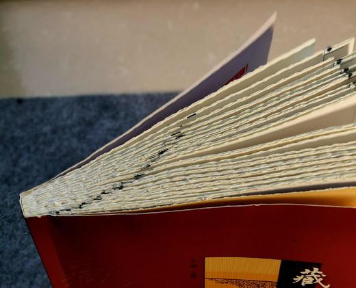 限量毛边本：《藏书家》（第25辑），16开，王路主编，齐鲁书社2024年一版一印，236页，定价78，售价75元。 商品图2