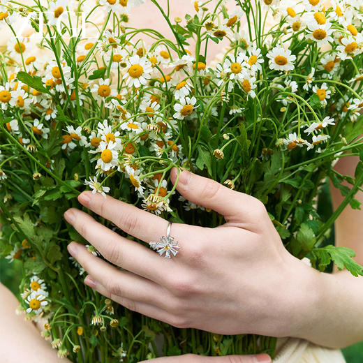 ZEGL设计师雏夏系列小雏菊蜜蜂戒指女简约可爱开口指环花朵食指戒 商品图5