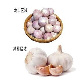 大蒜果（约500g/份）