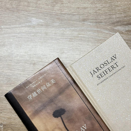 穿越世间众美 赛弗尔特诗选 雅罗斯拉夫·赛弗尔特 著 文学 商品图3