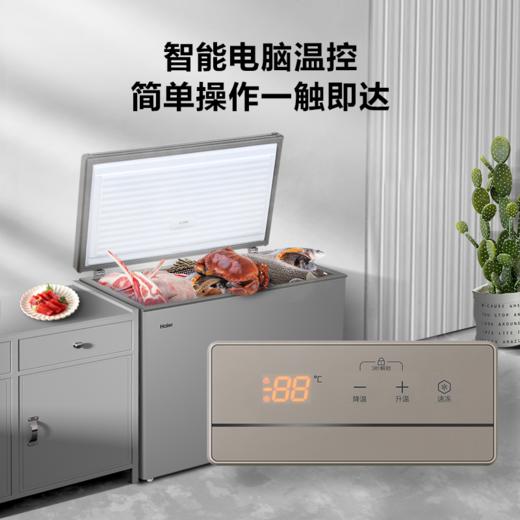 海尔（Haier）306升低霜商用冰柜冷藏柜冷冻柜冰柜家用大冷柜BC/BD-306HED 商品图2