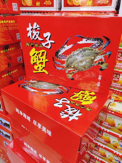 红箱梭子蟹一箱 商品图0