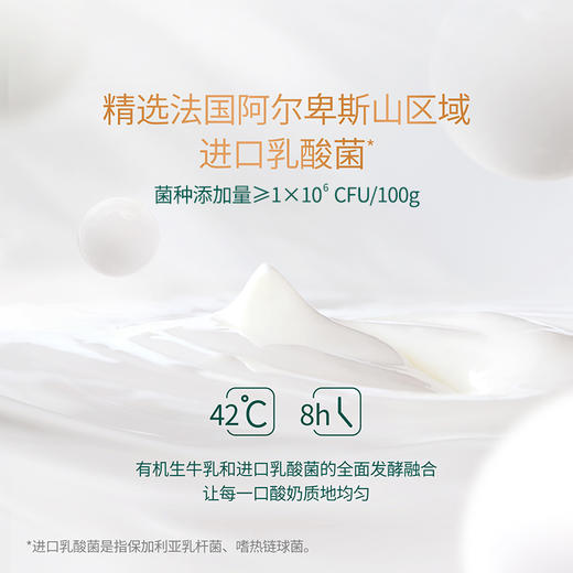 【自然原味酸奶】圣牧有机风味酸奶 200g*10盒 优选法国乳酸菌 不含香精防腐剂 全程有机认证 商品图3