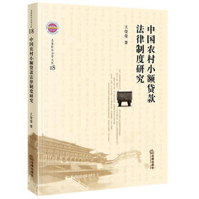 中国农村小额贷款法律制度研究 王莹莹 著 法律出版社