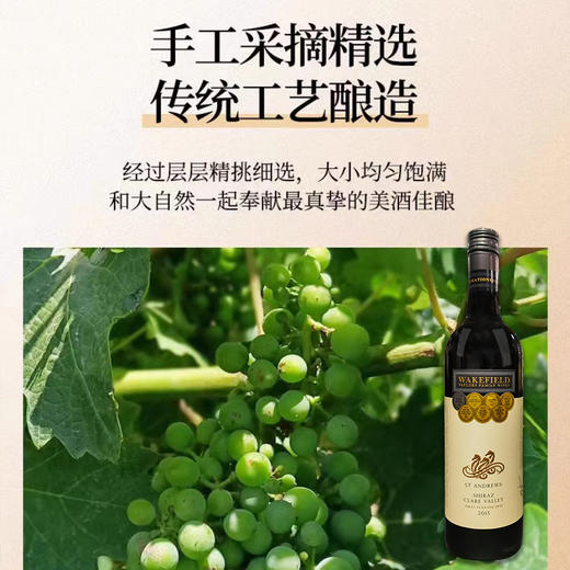 澳大利亚进口威卡菲圣安西拉红葡萄酒 750ml 商品图3