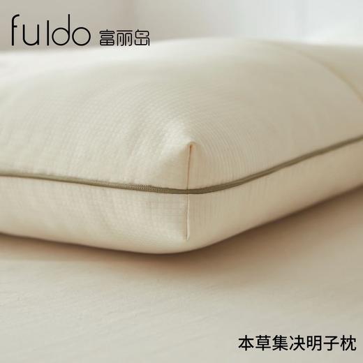 富丽岛家纺本草决明子枕芯 商品图0
