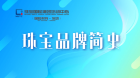 潘老师第五课-宝诗龙