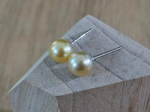 【简洁】香槟金色南洋金珠耳钉 商品图0