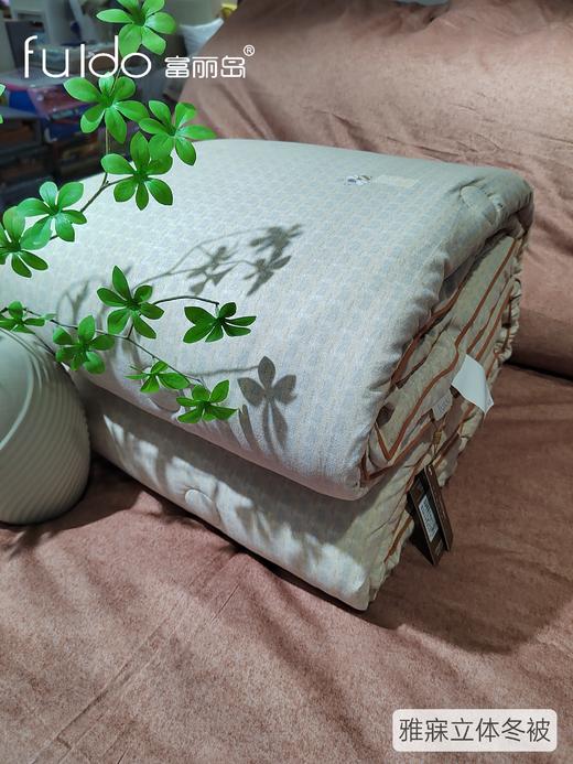 富丽岛家纺雅寐立体冬被 商品图4