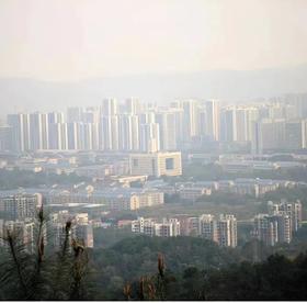 【大学城水天池徒步】  | 山就在那儿~