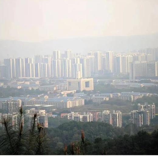 【大学城水天池徒步】  | 山就在那儿~ 商品图0