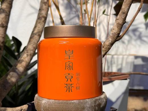 （天花板）困鹿山 皇家贡茶 细叶古树 50克 100克 清雅兰果香 商品图2