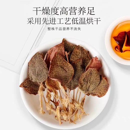 福建金线莲礼盒装养生茶林下种植当年新摘 商品图1