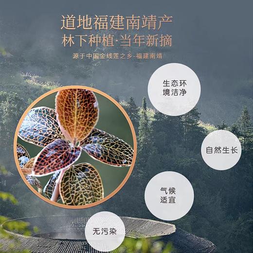 福建金线莲礼盒装养生茶林下种植当年新摘 商品图3